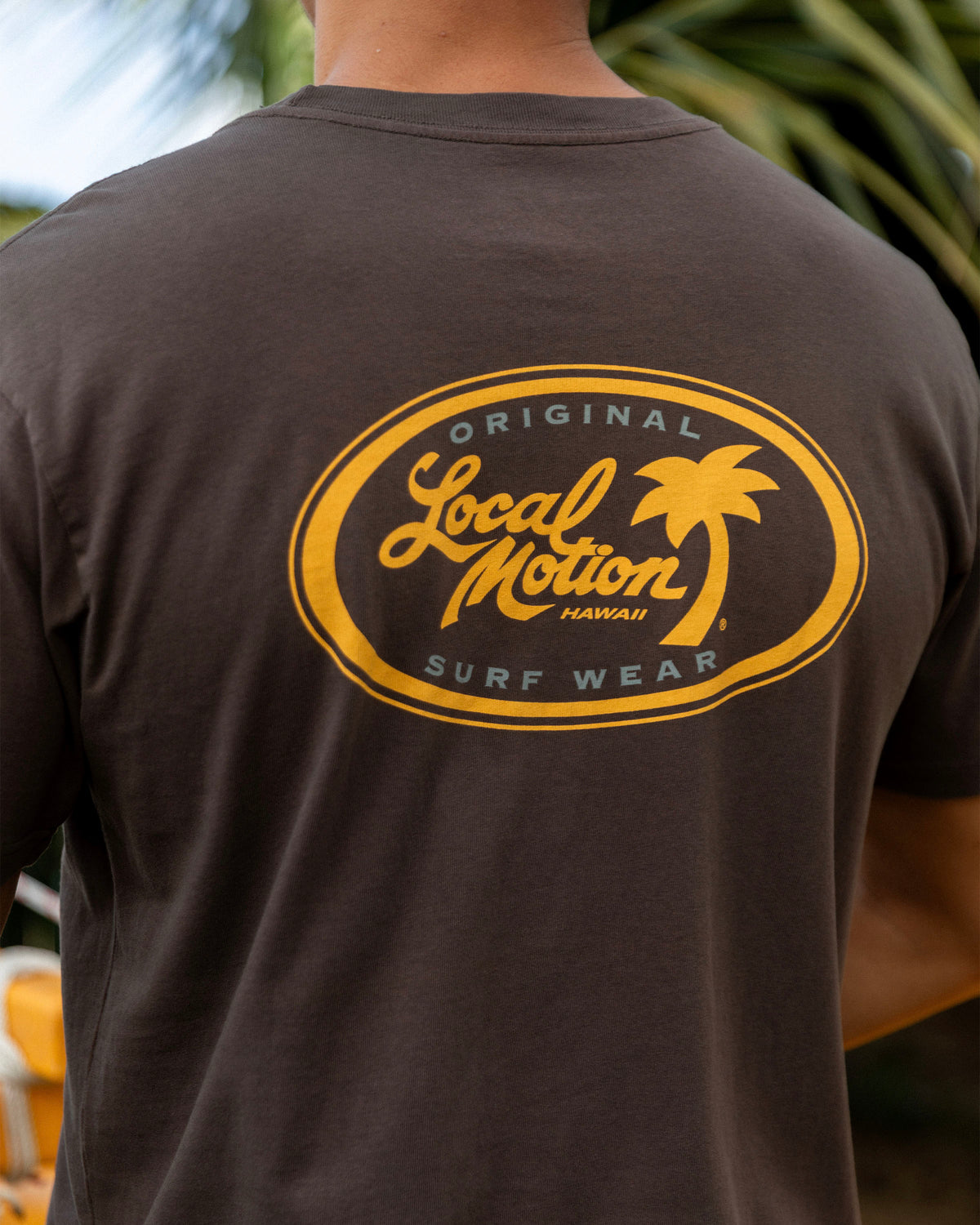 A person viewed from the back wearing a dark brown t-shirt [chocolate]