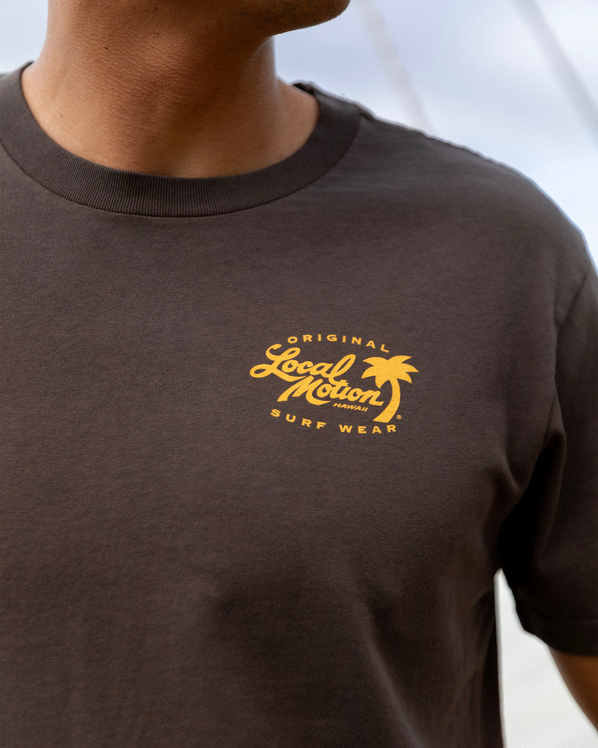 A close-up of a person wearing a dark brown crewneck t-shirt [chocolate]